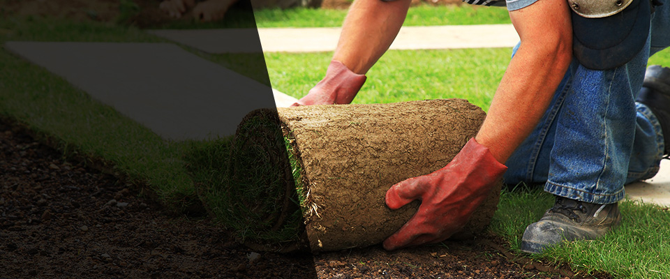 Brooksville Landscapers